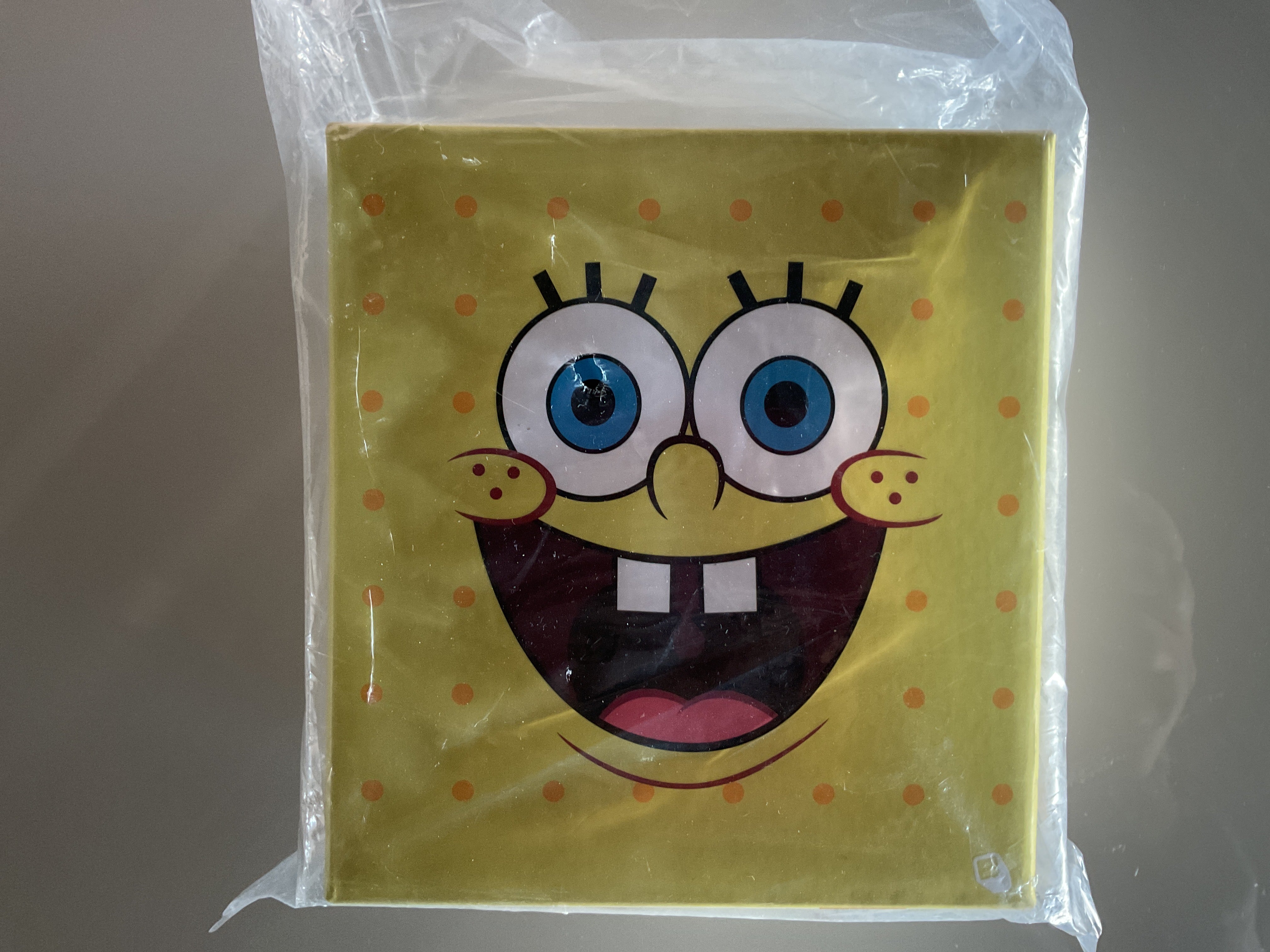 SpongeBob SquarePants Ice Cream Sandwich