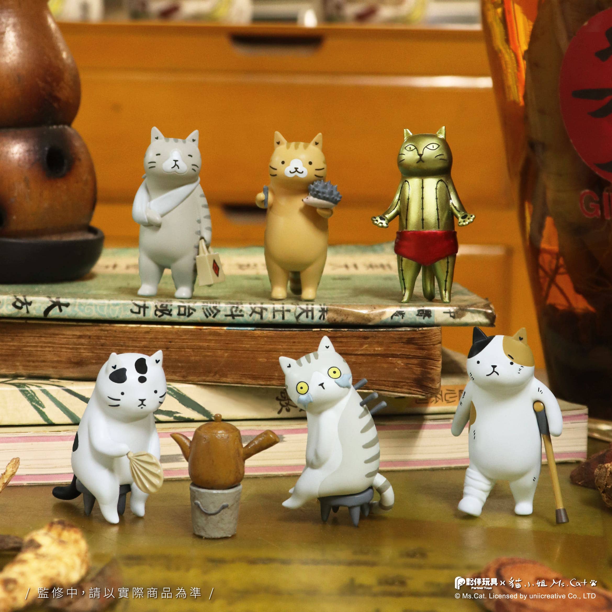 Cat Kung Fu Dojo