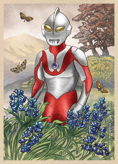 Botanical Zen Postcard Set- 6 postcards