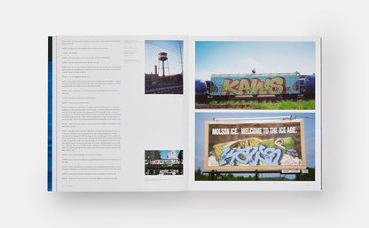 KAWS (Phaidon Contemporary Artists Series)